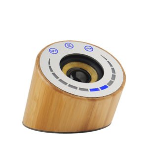 CBS 01 1