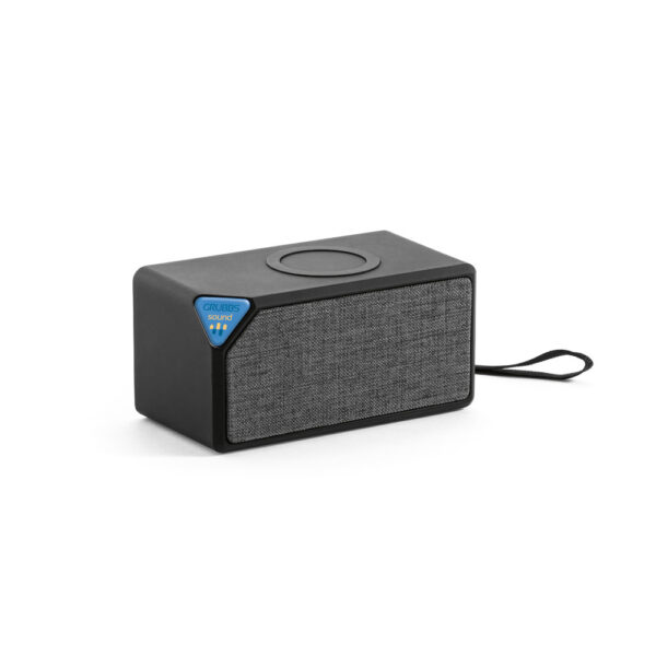 Portable speaker and wireless charger